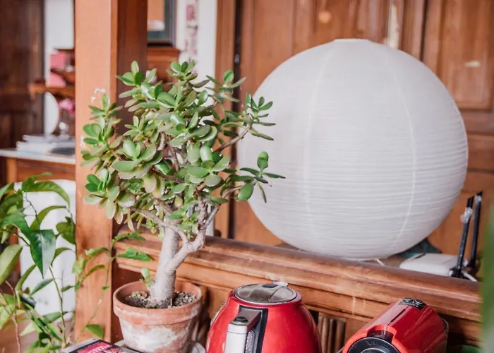 לינה וארוחת בוקר La Louis, Maison D'hotes, Vue